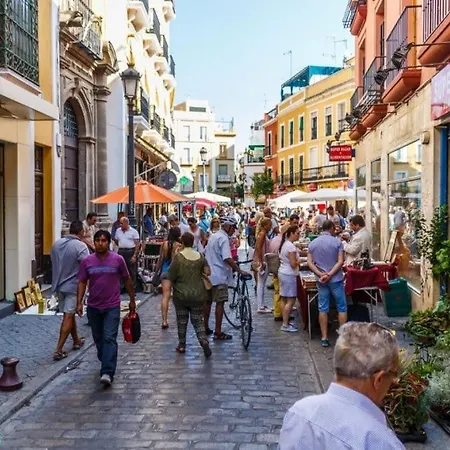 Agradable Con Bano Individual Homestay Seville
